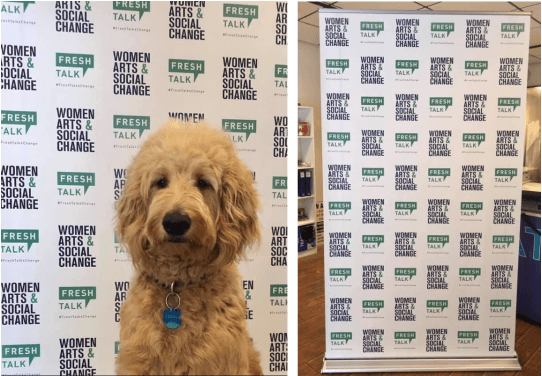 STEP AND REPEAT BANNER STANDS